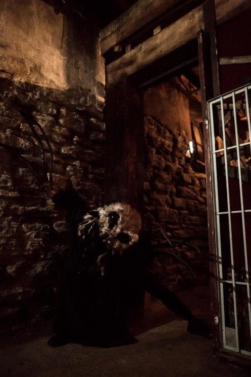 unhinged inhaunted basement mn_8793